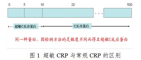 超敏CRP与常规CRP的区别