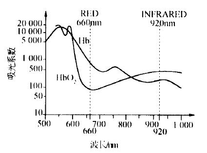 血红蛋白对不同波长光的吸收系数