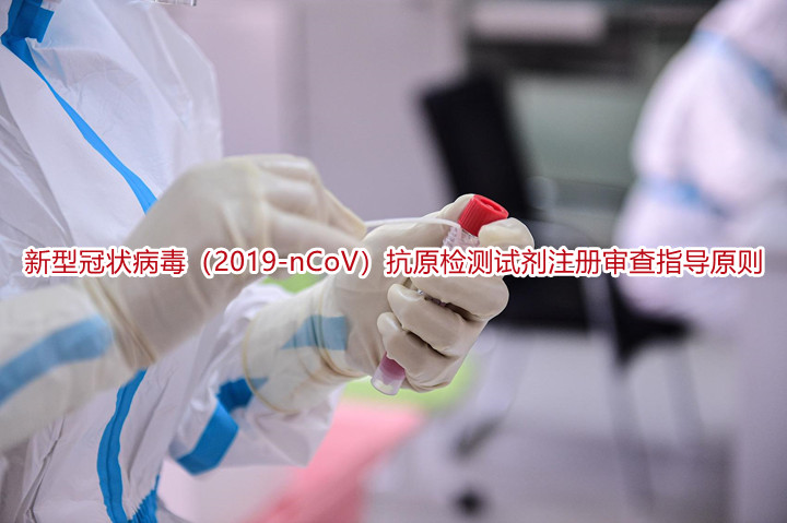新型冠状病毒（2019-nCoV）抗原检测试剂注册审查指导原则