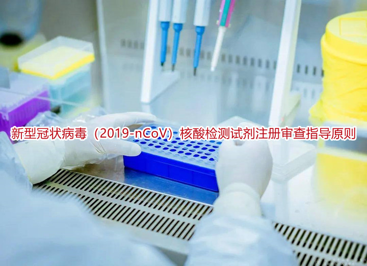 新型冠状病毒（2019-nCoV）核酸检测试剂注册审查指导原则