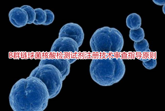 B群链球菌核酸检测试剂注册技术审查指导原则