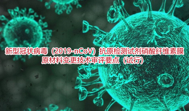 新型冠状病毒（2019-nCoV）抗原检测试剂硝酸纤维素膜原材料变更技术审评要点（试行）