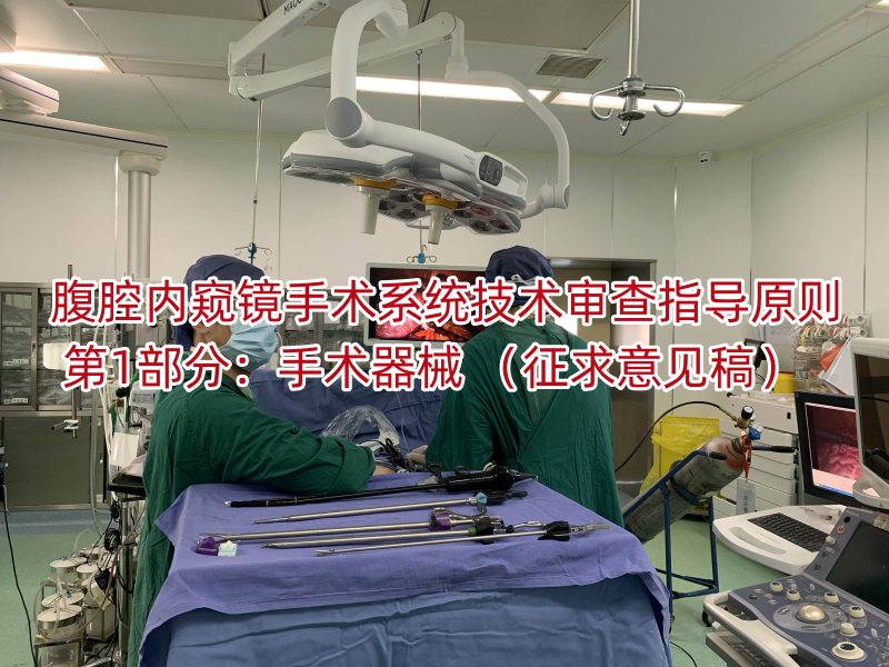 腹腔内窥镜手术系统技术审查指导原则 第1部分：手术器械 （征求意见稿）