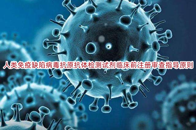人类免疫缺陷病毒抗原抗体检测试剂临床前注册审查指导原则