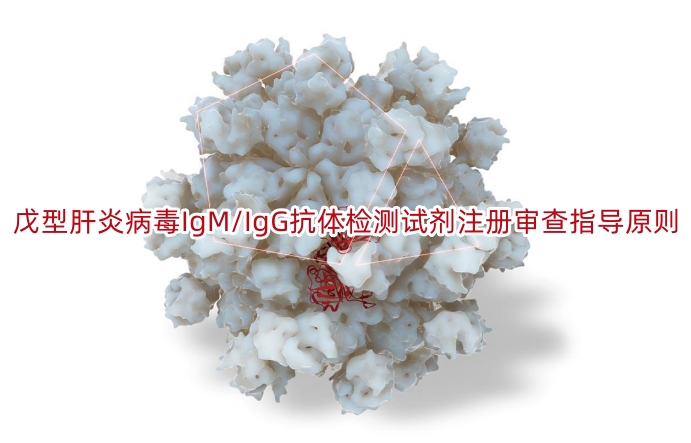 戊型肝炎病毒IgM/IgG抗体检测试剂注册审查指导原则