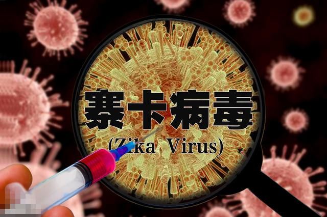 寨卡病毒核酸检测试剂注册审查指导原则（征求意见稿）