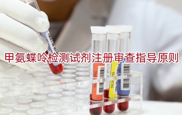 甲氨蝶呤检测试剂注册审查指导原则