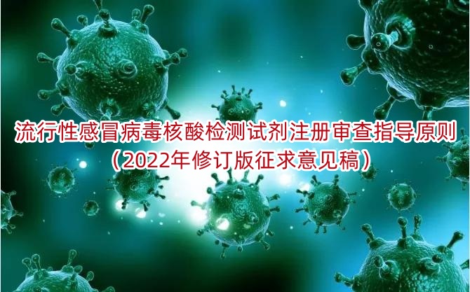 流行性感冒病毒核酸检测试剂注册审查指导原则（2022年修订版征求意见稿）