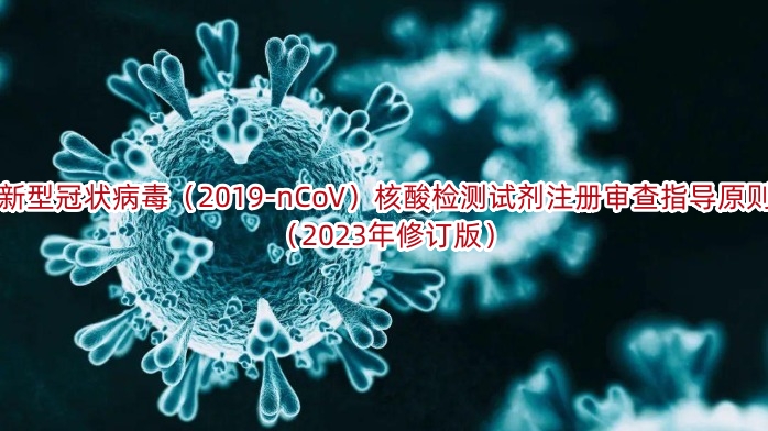 新型冠状病毒（2019-nCoV）核酸检测试剂注册审查指导原则（2023年修订版）
