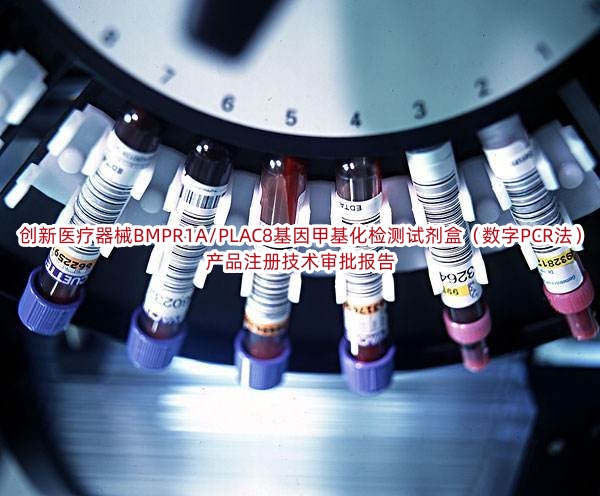 创新医疗器械BMPR1A/PLAC8基因甲基化检测试剂盒（数字PCR法）产品注册技术审批报告
