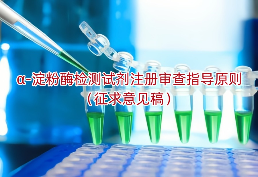 α-淀粉酶检测试剂注册审查指导原则（征求意见稿）