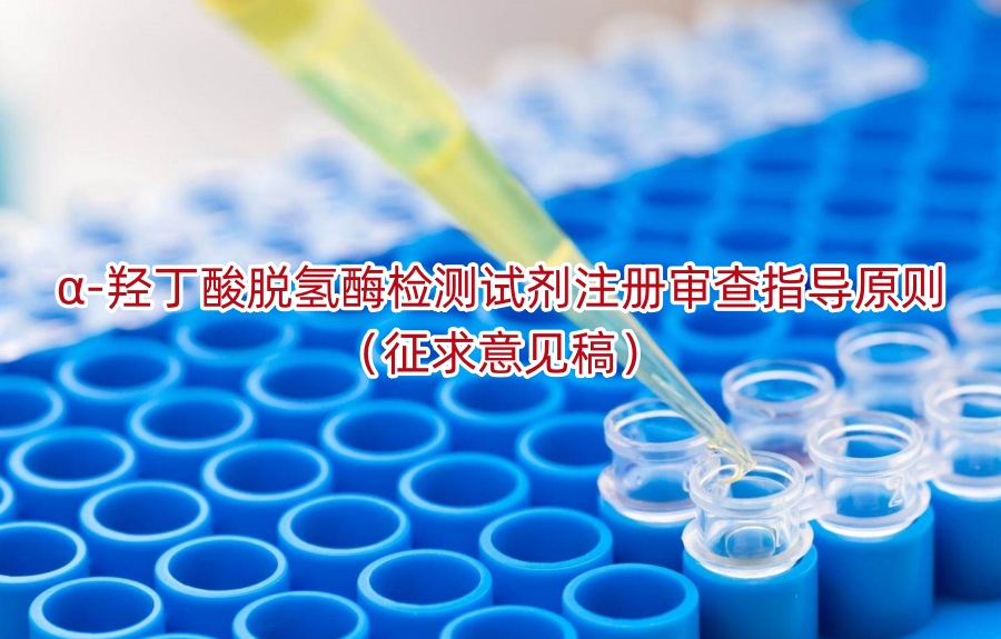 α-羟丁酸脱氢酶检测试剂注册审查指导原则（征求意见稿）
