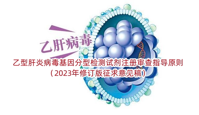 乙型肝炎病毒基因分型检测试剂注册审查指导原则（2023年修订版征求意见稿）