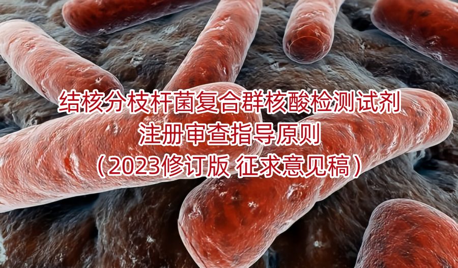 结核分枝杆菌复合群核酸检测试剂注册审查指导原则（2023修订版 征求意见稿）
