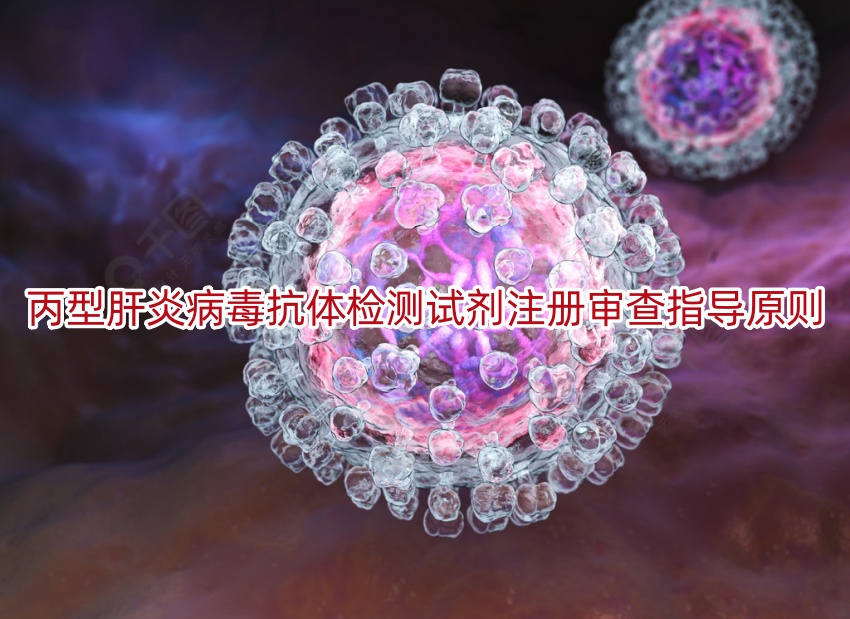 丙型肝炎病毒抗体检测试剂注册审查指导原则