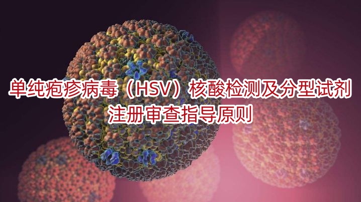 单纯疱疹病毒（HSV）核酸检测及分型试剂注册审查指导原则